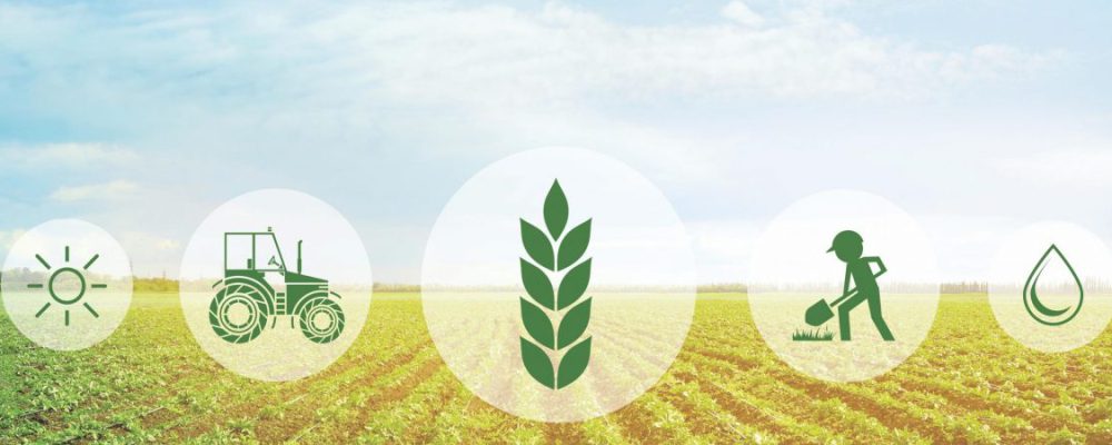 2-scaled-pk9dd8eg4m8lj32b3zj1izjjgp27wvvewete65yf10